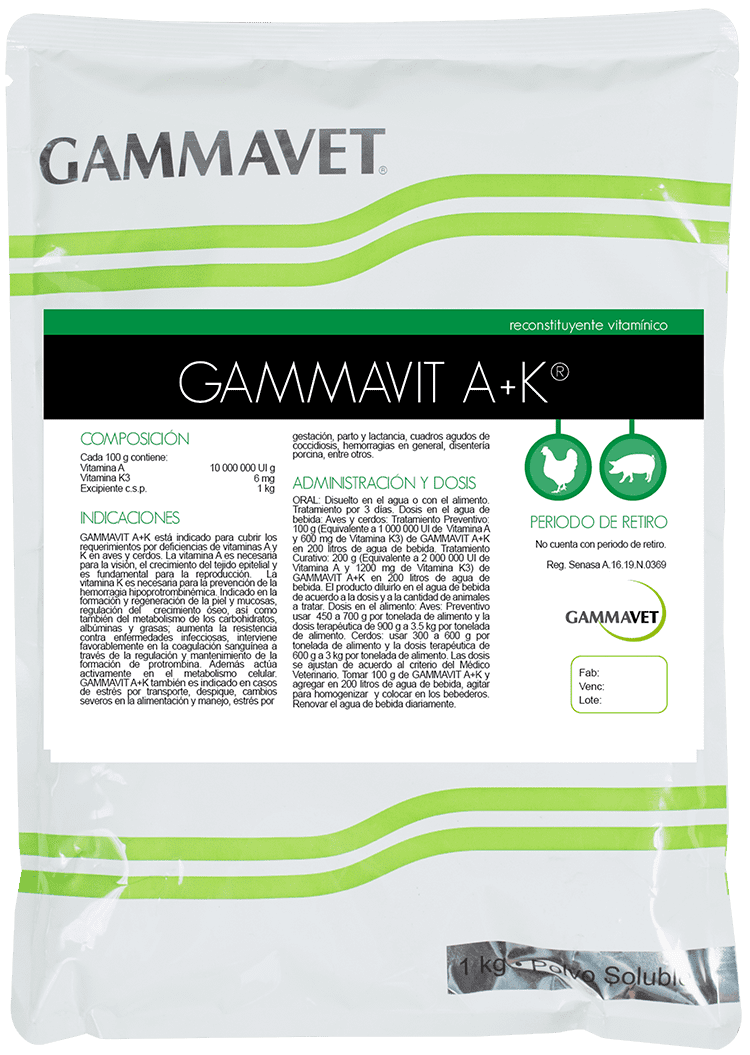 GAMMAVIT A + K®