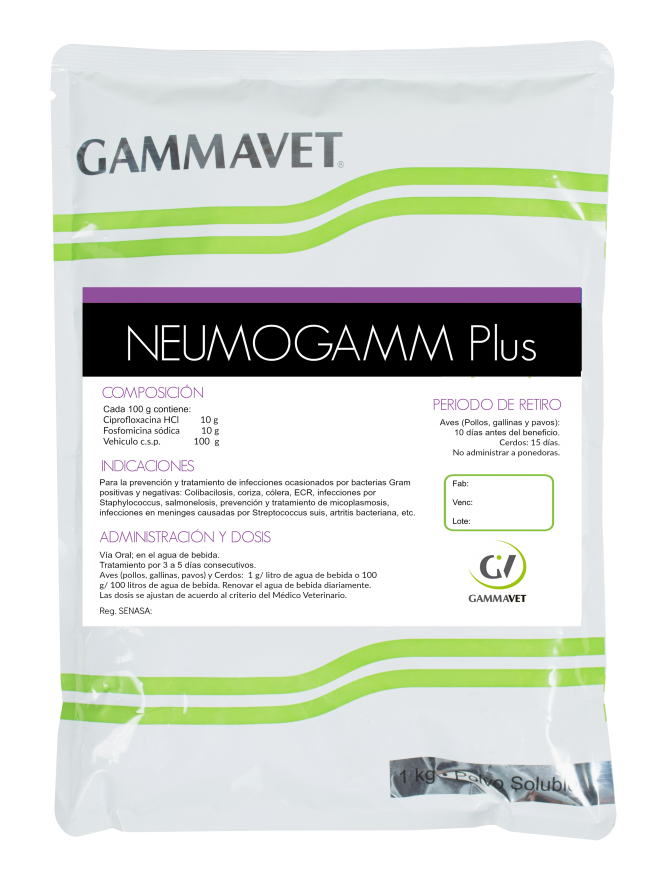 NEUMOGAMM PLUS